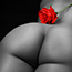 imagen107